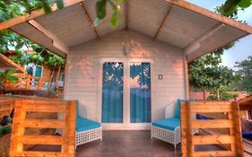 Estrela Do Mar Beach Resort - A Beach Property